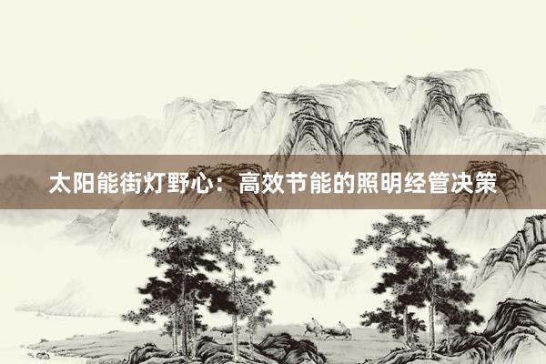 太阳能街灯野心：高效节能的照明经管决策