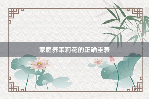 家庭养茉莉花的正确圭表